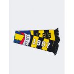 Fenerbahce Scarf