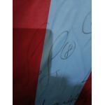 Orijinal Etiketli Trabzonspor 2018/2019 Macron İmzalı Maç Forması (L Beden) from  at Turkish Football Shop # 
