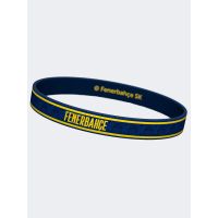 Fenerbahce Silicon Bracelets from  at Turkish Football Shop # 