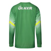Galatasaray Goalkeeper Green Jersey 2014/15 from Nike at Turkish Football Shop # 629975