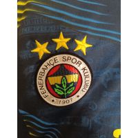KOLEKSİYONLUK Fenerbahçe 2013-2014 Taraftarın Gücü Forması (Sıfır Etiketli - L Beden) from adidas at Turkish Football Shop # 