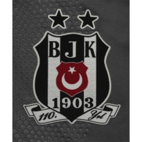 Besiktas Third Jersey 13/14 from adidas at Turkish Football Shop # 34S4E0100104