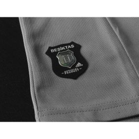 Besiktas Third Jersey 13/14 from adidas at Turkish Football Shop # 34S4E0100104