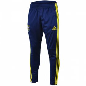 Fenerbahce Training Pant 2014/15 from adidas at Turkish Football Shop # 