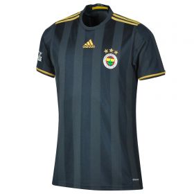 Fenerbahce Third Jersey 2016/17 from adidas at Turkish Football Shop # 