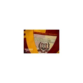 Galatasaray SS Home Jersey 09/10 from adidas at Turkish Football Shop # L02302
