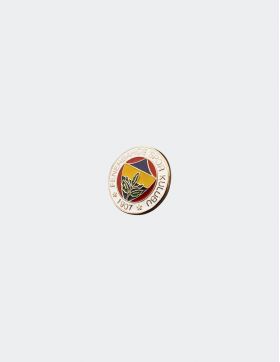 Fenerbahce Logo Pin