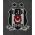 Besiktas Third Jersey 13/14 from adidas at Turkish Football Shop # 34S4E0100104