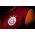 Galatasaray Home Jersey 13/14 from Nike at Turkish Football Shop # 544879
