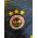 KOLEKSİYONLUK Fenerbahçe 2013-2014 Taraftarın Gücü Forması (Sıfır Etiketli - L Beden) from adidas at Turkish Football Shop # 
