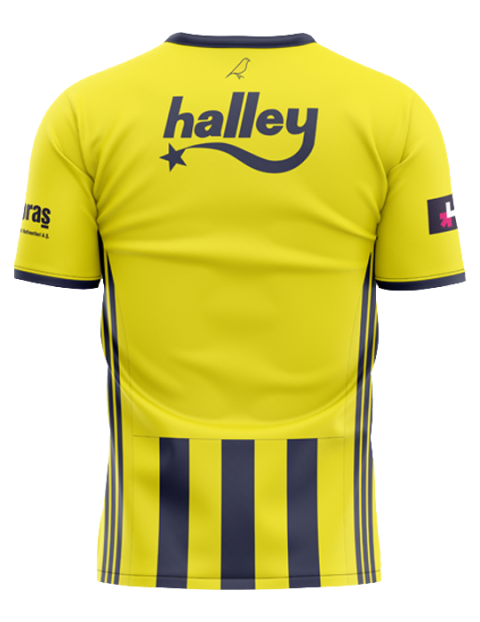 Fenerbahce Home Jersey 2020/21 from adidas at Turkish Football Shop # AT013EAS015LC