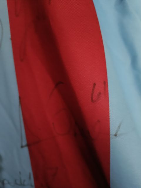 Orijinal Etiketli Trabzonspor 2018/2019 Macron İmzalı Maç Forması (L Beden) from  at Turkish Football Shop # 