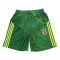Fenerbahce Fourth Shorts 10/11 from adidas at Turkish Football Shop # AT014E0S12