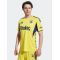 Fenerbahce Away Jersey 2025/26