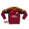 Galatasaray Red Sweat Training Top 10/11 from adidas at Turkish Football Shop # P02890