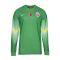 Galatasaray Goalkeeper Green Jersey 2014/15 from Nike at Turkish Football Shop # 629975