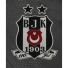 Besiktas Third Jersey 13/14 from adidas at Turkish Football Shop # 34S4E0100104