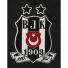 Besiktas Away Jersey 13/14 from adidas at Turkish Football Shop # 34S4E0100102